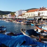 Holiday & Seasonal Tours