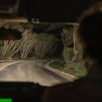 Sightseeing Tickets & Passes