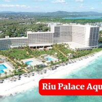 Weddings & Honeymoons