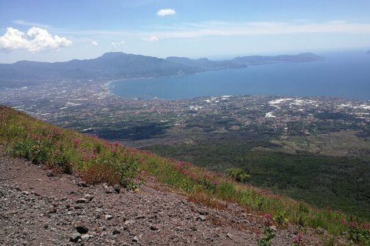 Shore excursion Vesuvius and site of Herculaneum (6 hrs)
