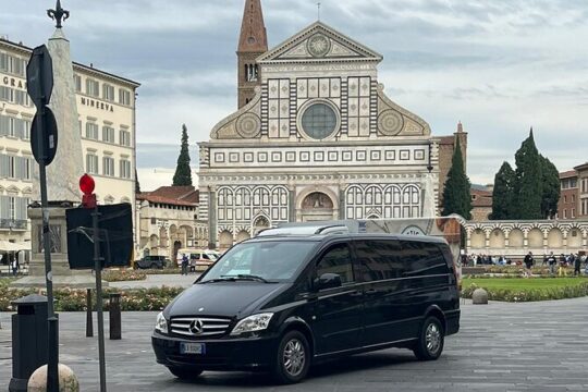 Private educational and guided custom tours by walk and by confortable M/B van