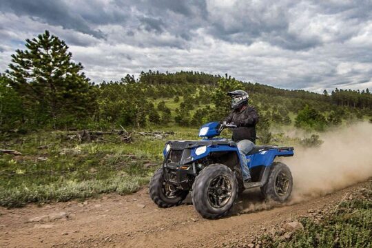 Quad Bike Safari in the Wilderness (ATV)