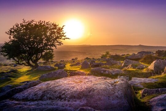 Devon Tour App, Hidden Gems Game and Big Britain Quiz (7 Day Pass) UK