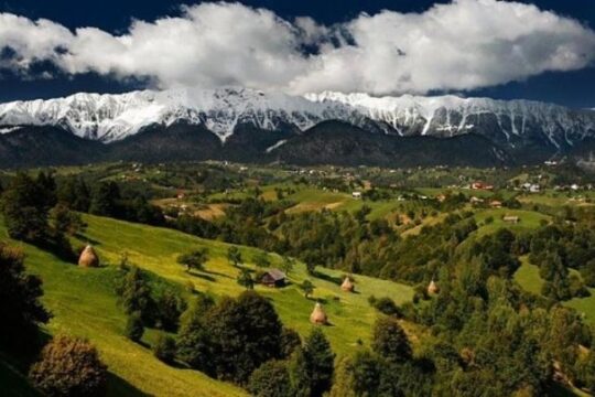 7-Day Private Tour to Romania and Bulgaria from Bucharest