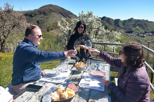 Full Day Prosecco Tasting. Private Tour. From Venice or Treviso