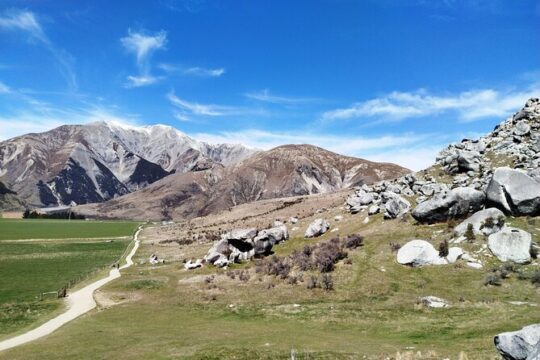 5 Day South Island New Zealand Private Tour from Dunedin