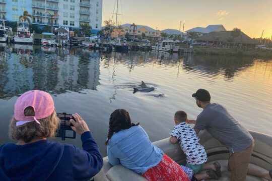Dolphin Tour with Local Expert