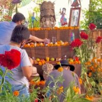 Holiday & Seasonal Tours