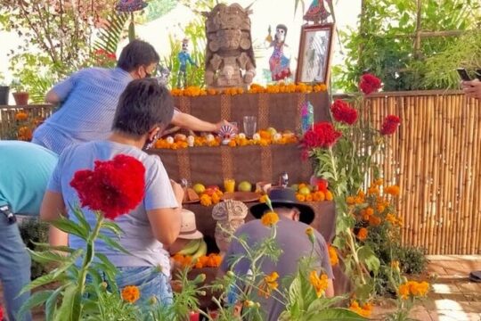 Day of the Dead Experience: Altar of Memories