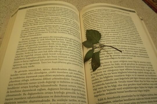 Istanbul Literature Tour