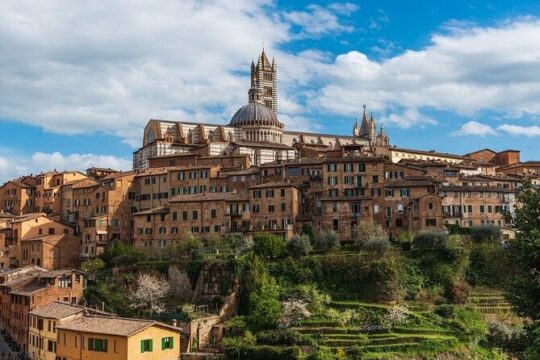Private Tour from Florence to Siena, Chianti and San Gimignano