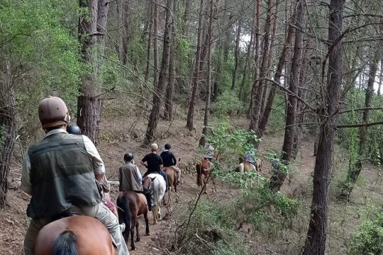 Horse Riding Tour at Taurus Mountains with Roundtrip Transfer