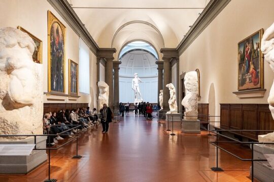 Michelangelo Private Guided Tour