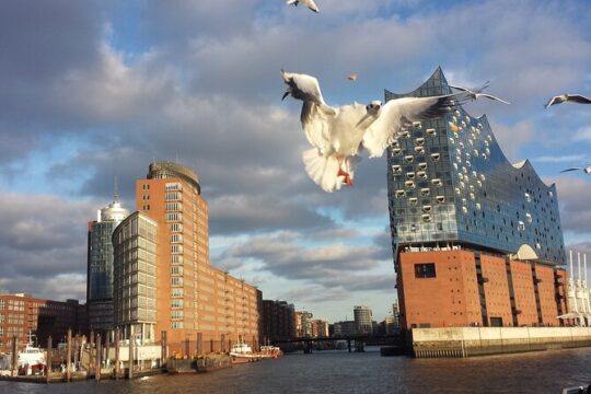 Experience Hamburg differently with a rental bike