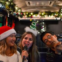 Holiday & Seasonal Tours
