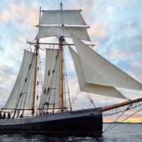Shore Excursions