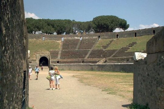 Pompeii Sorrento and Positano Tour