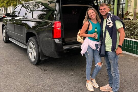 Paradise on Wheels: Suburban Premiere in Punta Cana - Round Trip