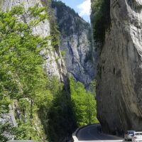 Transfers & Ground Transport