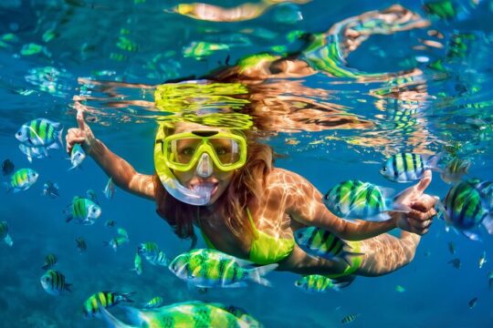 El Cielo Snorkeling Adventure in Cozumel