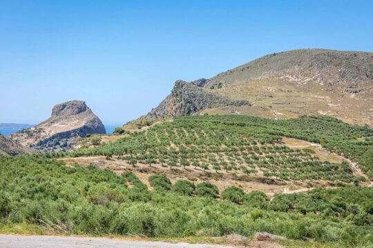 Western Crete with Winery and Olive Oil Estate Tour