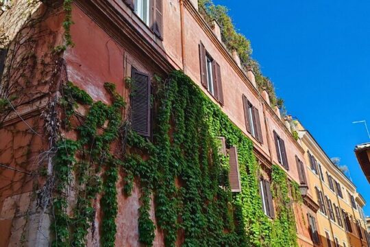 Trastevere Food Tour with Pizza Making Class