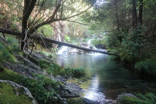 4X4 Tour - Discovering Serra d´ Arga