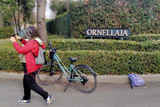 Private E-bike Tour in Bolgheri with Cooking Lesson