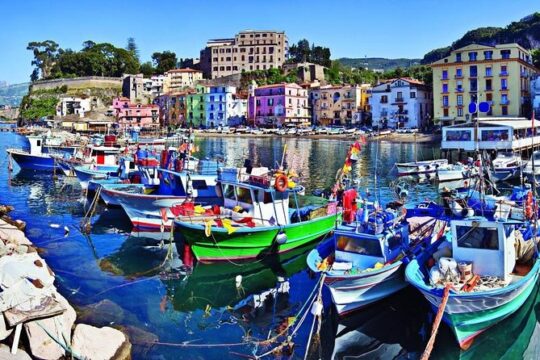 Naples drop off Positano or Return with stop at Herculaneum