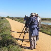 Sustainable Tours