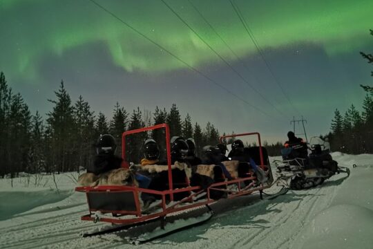 Northern Lights Sledge Ride