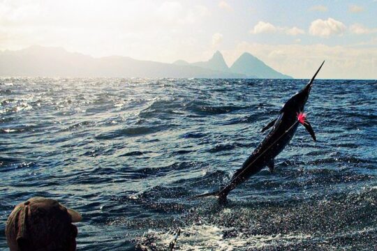 St Lucia Sport Fishing Tour