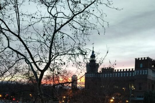 Magic Salsa Class for Beginners and Vermouth in Parque Ciudadela