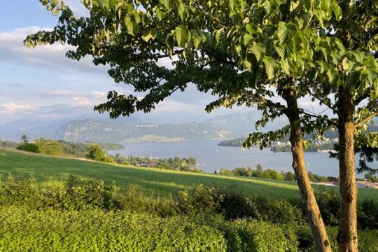 Private Lucerne View and Photo Walking Tour