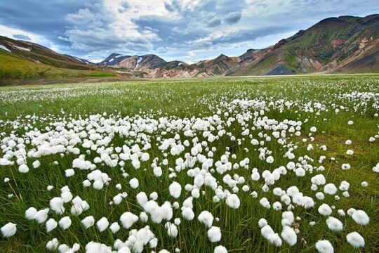 3 Days Iceland Private Super Jeep Tour Highlands & Golden Circle
