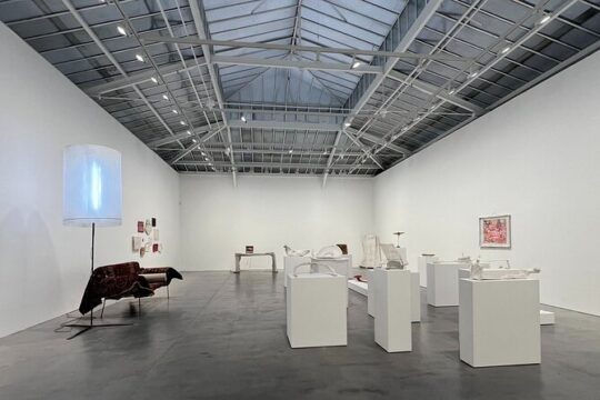 Exclusive Paris Gallery Tour
