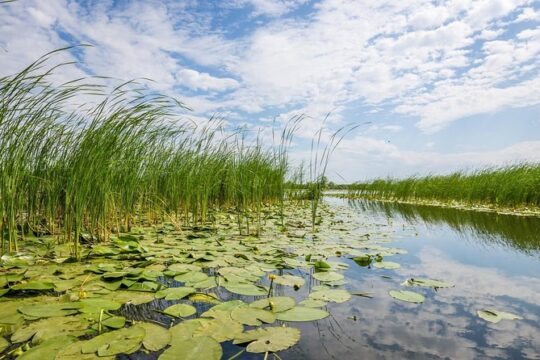 The Black Sea and Danube Delta Tour – 2 days