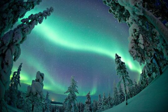 Aurora Hunting Photo Tour from Rovaniemi with Pickup
