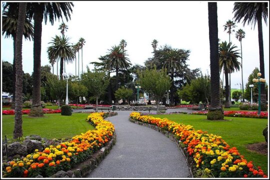 Small Group - Napier History and Art Deco Tour - 2.5 hours