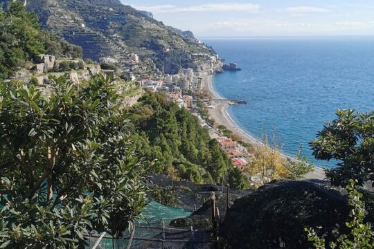 Private tour with tasting at the Sentiero dei Limoni
