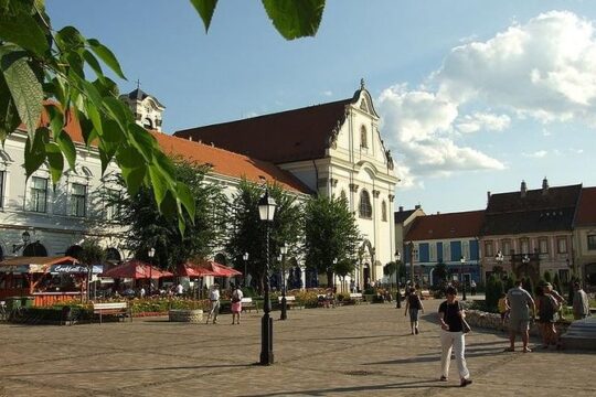 Private Danube Bend Tour with Szentendre and Vac stops and delicious lunch