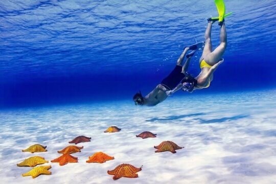 El Cielo Cozumel Snorkel Private Excursion and Beach Club
