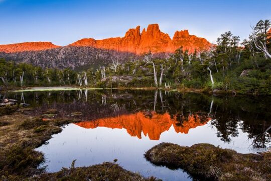 Transfer from Cradle Mountain to Launceston