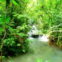 Tours & Sightseeing
