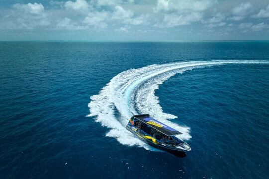 Cairns Half Day Tour a Great Barrier Reef Snorkeling Experience