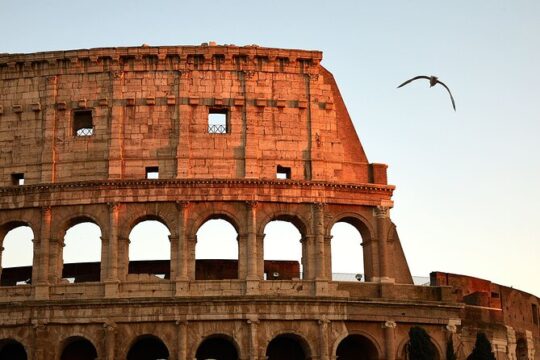 ROME: queue-jump Colosseum and Rome’s ancient Forum