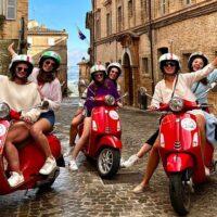 Vehicle Rentals