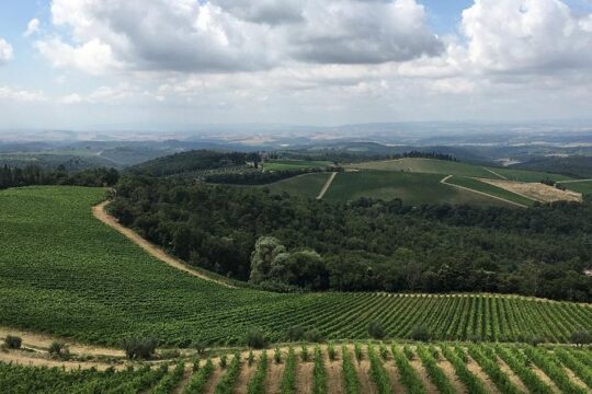 Chianti Classico E-Bike Tour