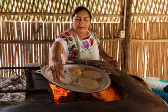 Bacalar Seven Color Lagoon and Mayan Experience from Costa Maya
