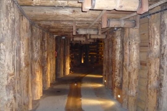 Wieliczka Salt Mine Guided Tour from Krakow with Private Transfers